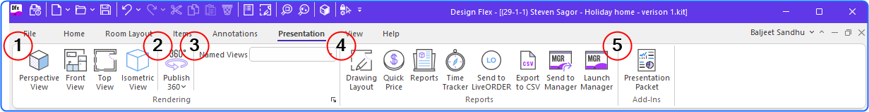 DL_EN_presentationribbon.png