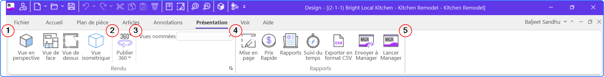 DL_FR_presentationribbon.png